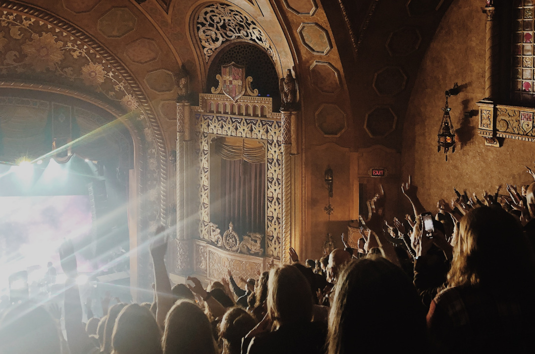 people having fun at a concert