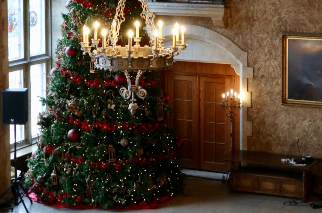 a huge Christmas tree inside a room