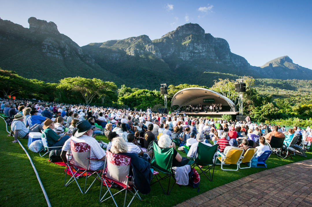 people attending an outdoor concert