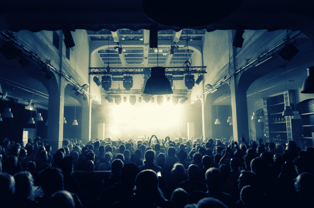 people attending an indoor concert