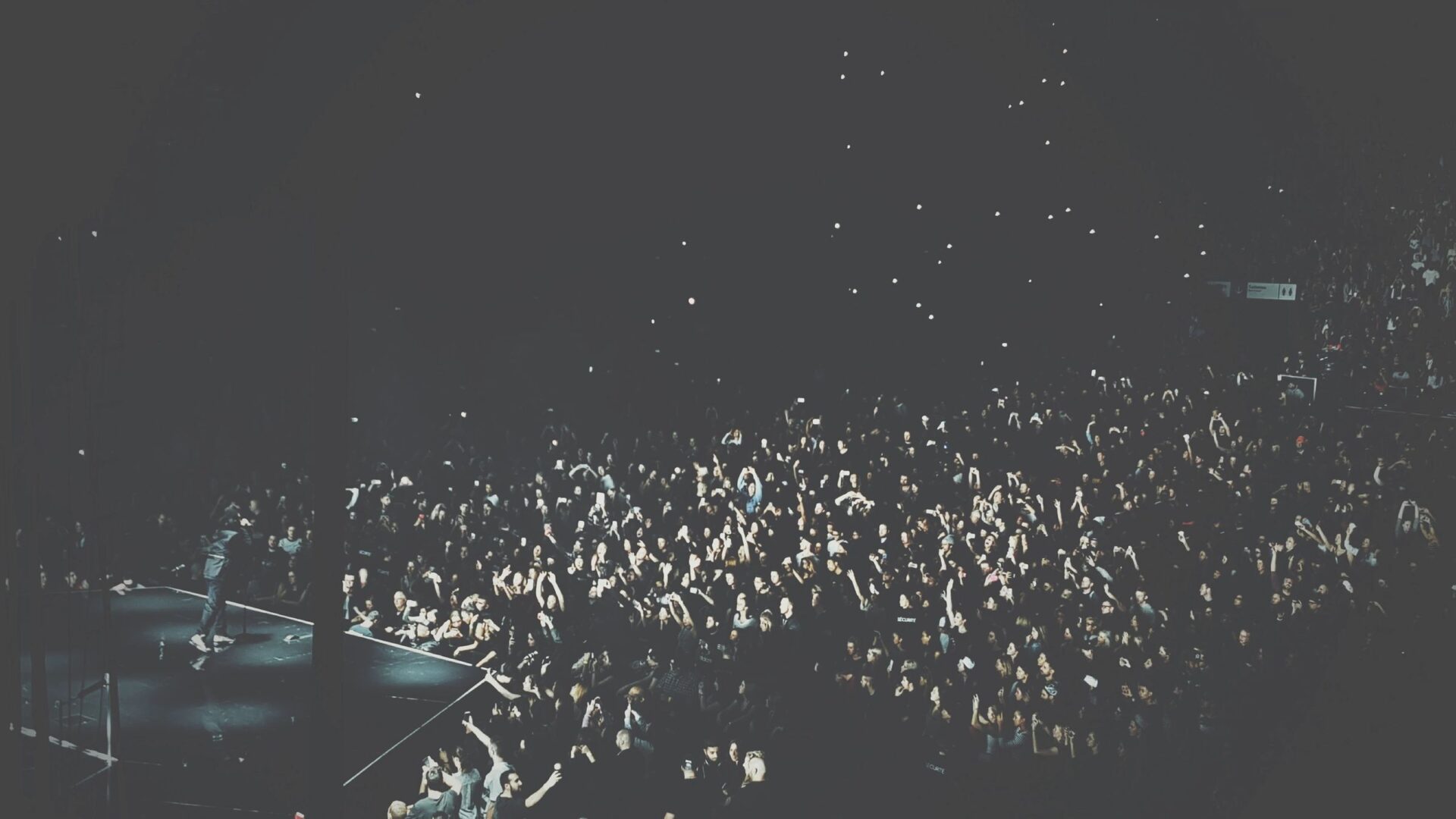 Large concert audience cheering during live show
